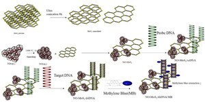 Chung-Ang University Researchers Develop Novel DNA Biosensor for Early Diagnosis of Cervical Cancer