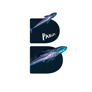 DDB Worldwide and Parley For the Oceans Announce Partnership to Inspire A Better Future Through Creativity and Eco-Innovation
