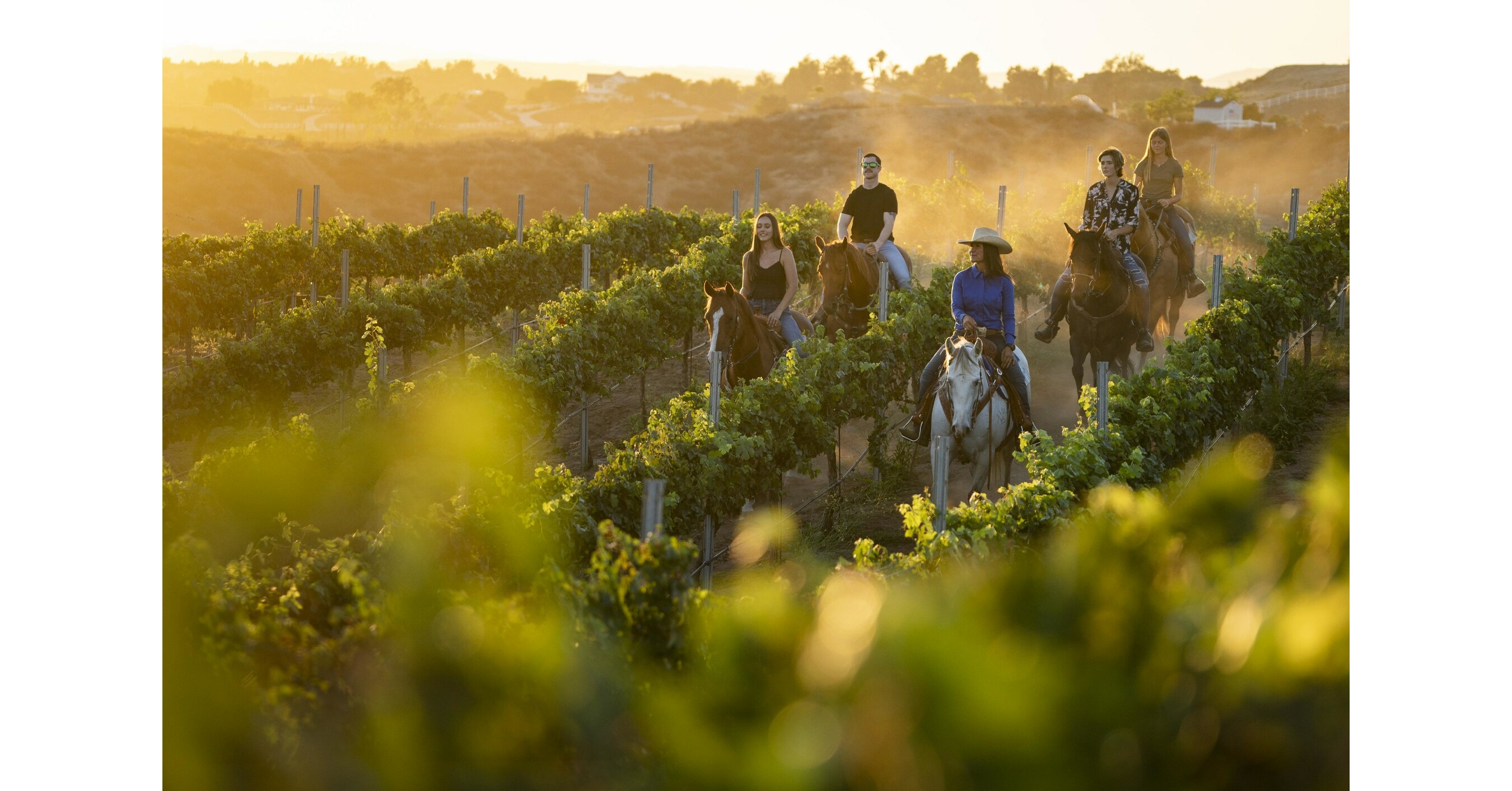 Flights & Bites in Temecula Valley