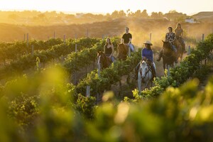 Temecula Valley Celebrates Autumn with Wine Month, Fall Harvest Celebrations