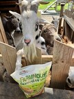 Manna Pro® Reveals New Farmhouse Favorites™ Treats for Mini Pigs, Pygmy Goats, Mini Cattle, Mini Donkeys, and Mini Horses Now Available at Tractor Supply