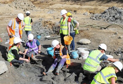 Palaeontologists excavating a mammoth tusk found at the Hills Quarry site near Swindon.