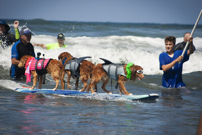 Pups & Sups Dog Surfing Classic Long Sleeve Performance – The