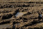 Paso Robles plumber answers, 'Does heavy rain damage a leach field?'