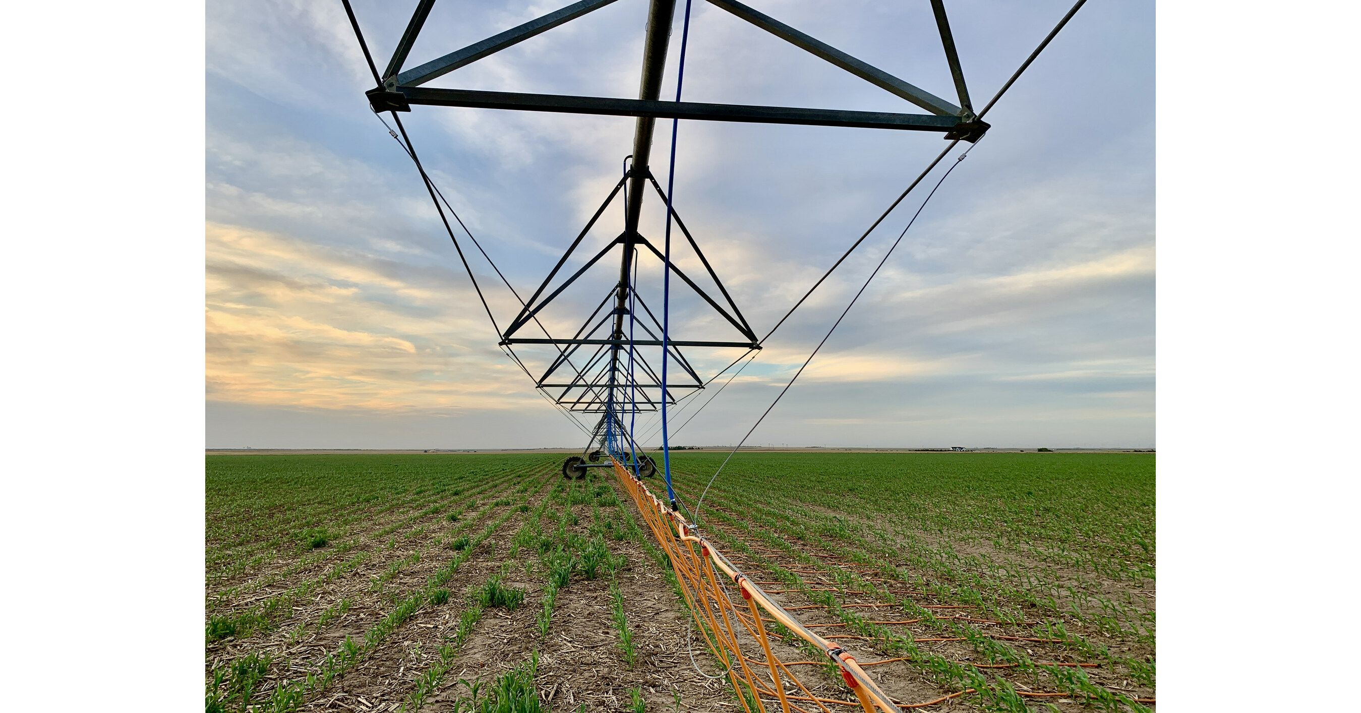 Rivulis and Dragon-Line announce exclusive distribution agreement for North America