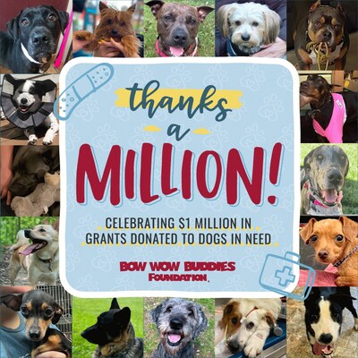 Bow Wow Buddies Foundation, a 501(c)(3) nonprofit organization founded by Camp Bow Wow and dedicated to helping sick and injured dogs, is celebrating its millionth dollar granted to dogs in urgent medical situations.