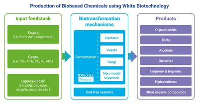 Production of biobased chemicals using white biotechnology. Source: IDTechEx