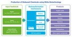How White Biotechnology Is Innovating to Advance the Global Bioeconomy, Reports IDTechEx