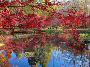 Experience the Full Beauty of Autumn at Gibbs Gardens