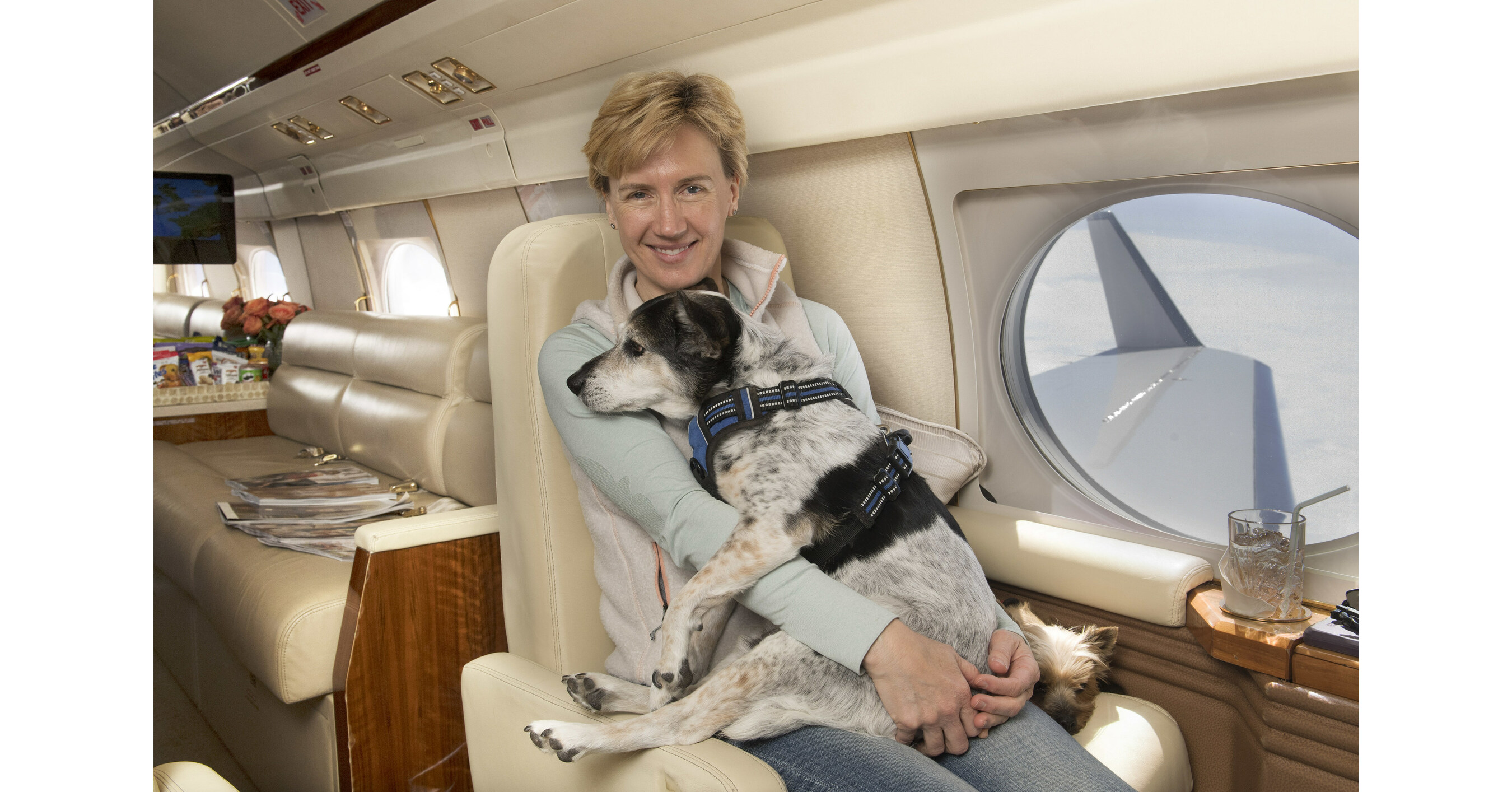 It's Absolutely Pawsome K9 JETS Announces LimitedTime Route Between