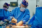 Two-Month Study of Pig Kidney Xenotransplantation Gives New Hope to the Future of the Organ Supply