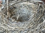 Five ways a storage unit can help with empty nest feelings, tips from the Paso Robles self-storage company