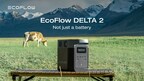 EcoFlow Launches DELTA 2 in Australia Bringing Power Supply Convenience to Home and Outdoor Life