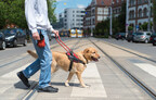 YuMOVE Offers Joint Health Tips to Keep Service Dogs Moving During National Service Dog Month in September