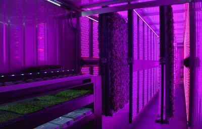 GetBlok_Farms_Pink_LEDs_Cultivation.jpg