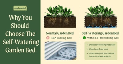 Revolutionize Your Gardening with Vego Garden's Self-Watering Bed!
Tired of constant watering? Meet our Self-Watering Garden Bed with a 3.5