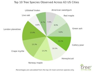 Tree Vitalize Publishes Extensive Study Analyzing Urban Forest Diversity Across 63 U.S. Cities