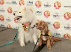 Pet Partners Therapy Animals