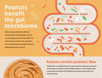 New Gut Microbiome Research Points to Positive Impact on Memory and Mood from Peanut Consumption