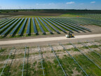 bp begins construction on new Texas solar project