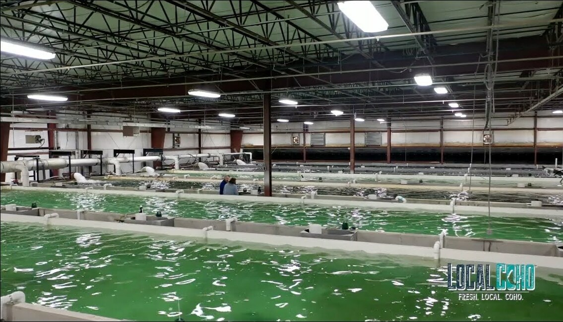 LocalCoho Secures Major Investment from Cuna del Mar Impact Fund - Vimarsana News