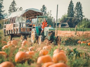 Travel Tacoma - Mt. Rainier Tourism and Sports Unveils Hand-Picked 3-Day Fall Travel Itinerary for Families: "Happy Harvest"