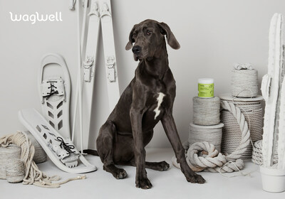 WagWell Debuts as First-of-its-Kind Dog Wellness Brand that Redefines Modern Pet Health