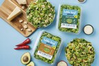 Little Leaf Farms Expands into New Product Category with Introduction of Salad Kits