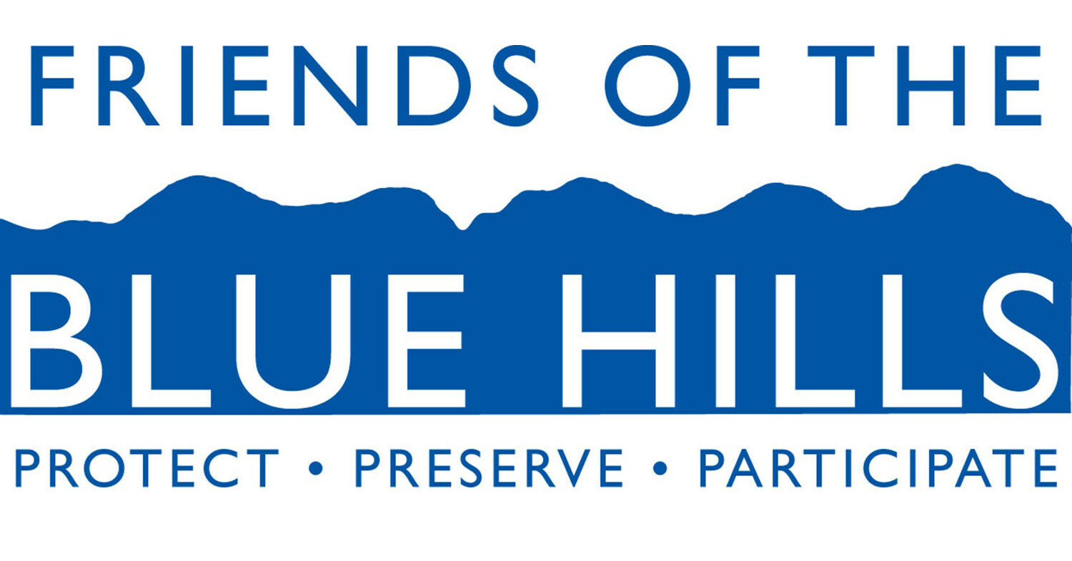 The Friends of the Blue Hills Executive Director Judy Lehrer Jacobs is Stepping Down
