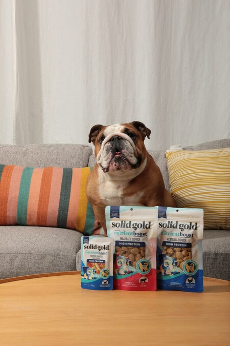 Solid Gold® Expands nutrientboost™ Line with Innovative Meal Toppers & Functional Treats for Dogs - Vimarsana News