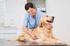 Celebrate National Pet Wellness Month in October with Wellness &amp; Mobility Tips from YuMOVE, Joint Supplements for Dogs