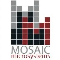 JPEG Logo (PRNewsfoto/Mosaic Microsystems)