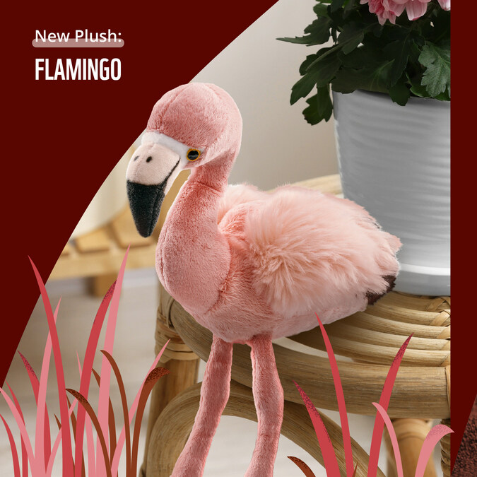Adopt a Flamingo  Symbolic Adoptions from WWF