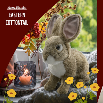 Your sym-bunn-ic adoption of an eastern cottontail rabbit plush will help the wide-ranging habitats of this sweet little species thrive! Our plush design includes the distinctive features of the eastern cottontail rabbit: large hind feet, long upright ears, prominent eyes and, of course, its cotton ball-like tail. (CNW Group/World Wildlife Fund Canada)