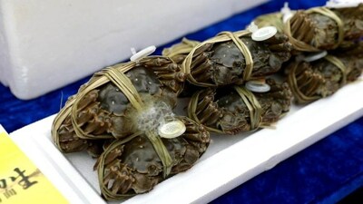 Exhibition of Yellow River Estuary Crabs, a Special Agricultural Product