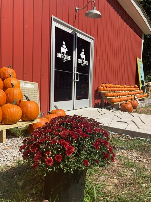 Cove Creek Farm Introduces Middle Tennessee's Newest Pumpkin Patch - Vimarsana News