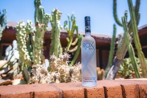 ROXX Vodka Partners with Premier Scottsdale Bachelorette Services