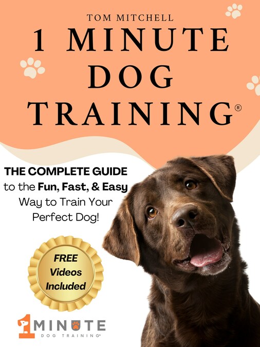 Dog Trainer Unlocks the Secret to Building Bonds with Dogs in Just 60 Seconds - Vimarsana News