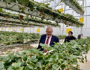 Le ministre MacAulay annonce un nouvel investissement pour faire avancer l'industrie canadienne de l'horticulture et améliorer la durabilité environnementale