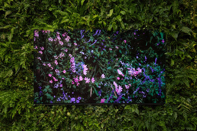 Quayola x LG OLED - Frieze London 2023