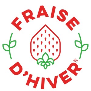 Fraise d'hiver strawberries are finally available across Quebec through the Sobeys-IGA network!