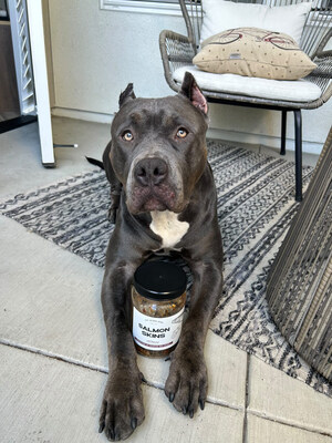 Jack's Premium Unleashes "Salmon Skin Chips" -- A Treat Frenzy for Dogs and Cats, Debuted at the 2023 DockDogs World Championship