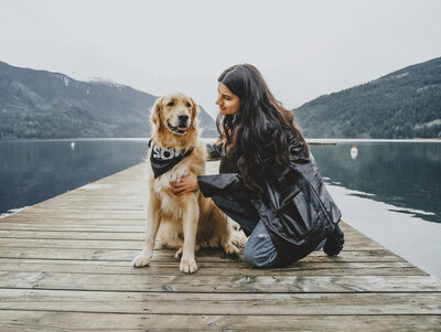 Fast Facts About Healthy Skin and Coat Care for Dogs