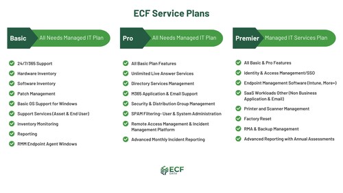 Managed IT Services for all Microsoft Needs