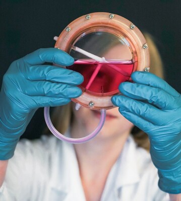 Tissue-engineered blood vessel inside a bioreactor.
