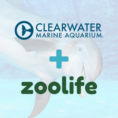 Clearwater Marine Aquarium and zoolife