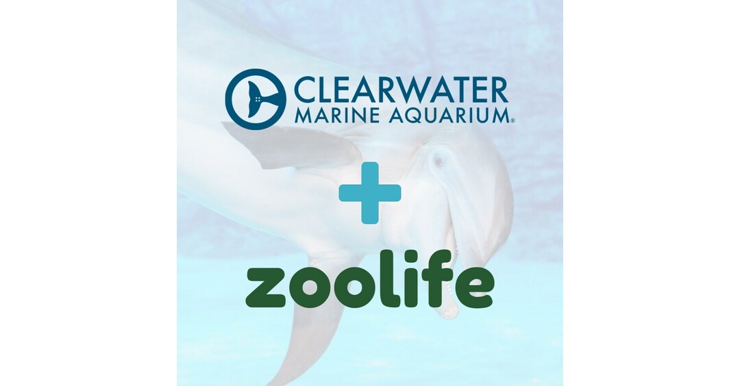 Clearwater Marine Aquarium First Aquarium to Join zoolife Partnership Clearwater Marine Aquarium First Aquarium to Join zoolife Partnership
