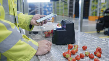 OneThird's AI-powered, real-time shelf-life technology in use at a produce distribution center.