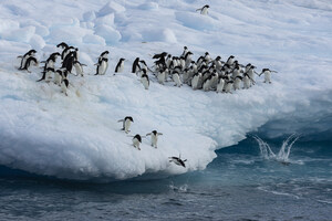 Antarctic Ocean Conservation Body under pressure to live up to its name