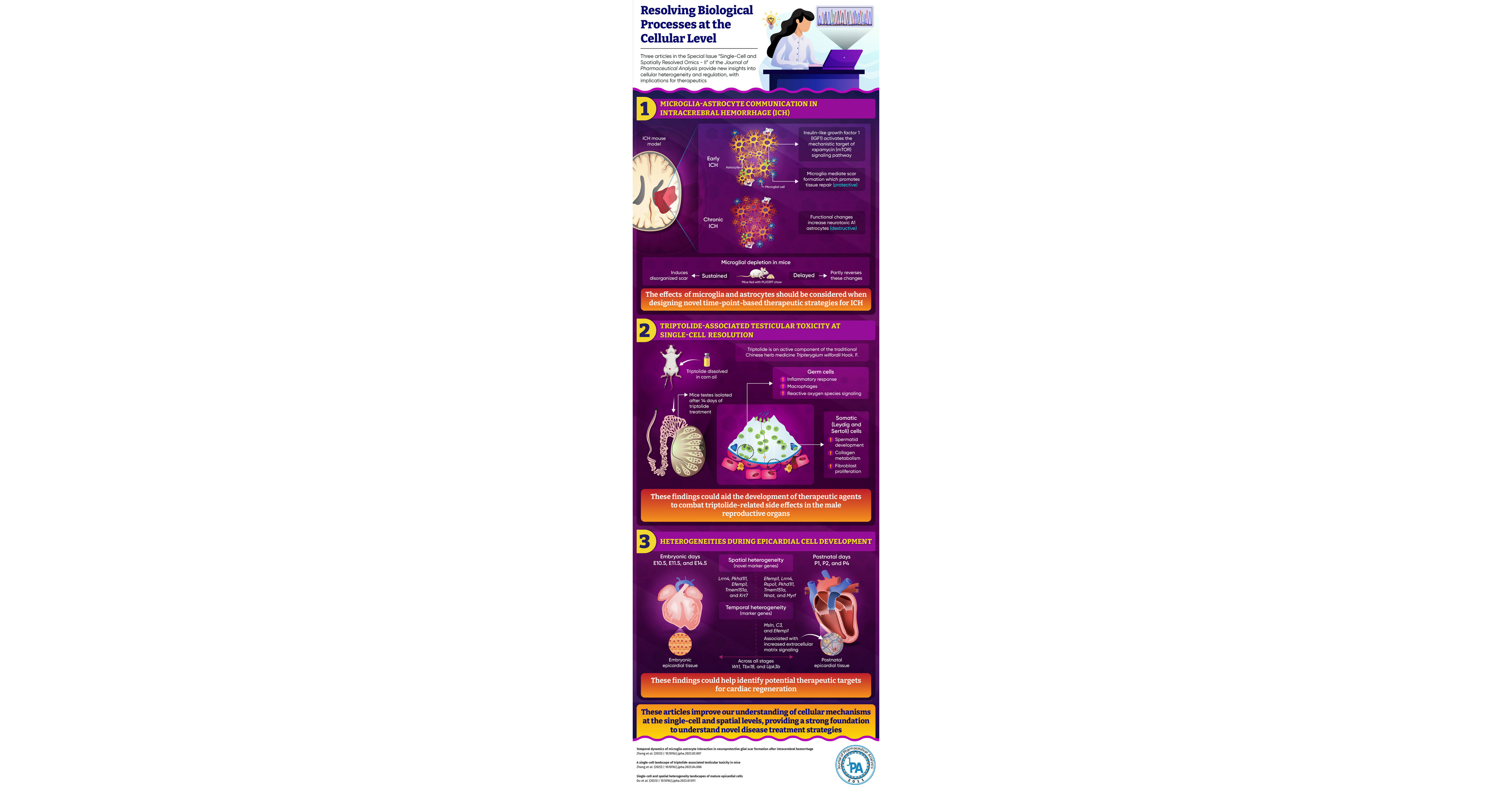 Research in the Special Issue of Journal of Pharmaceutical Analysis Uncovers Previously Unexplored Cellular Mechanisms